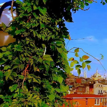 فندق إسطنبول سيدني 3*