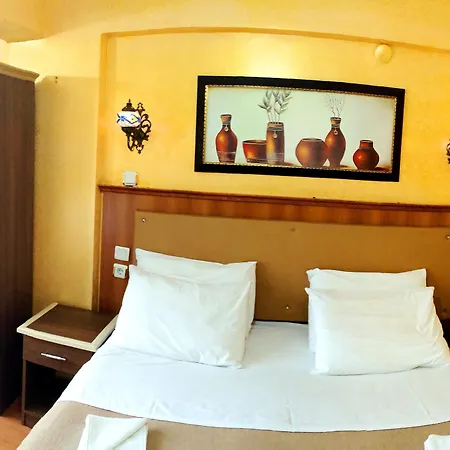 إسطنبول سيدني